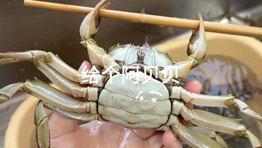 小孩菜天花板：肉蟹煲！咕嘟咕嘟的幸福感拉满了，孩子一口一口根本停不下来！