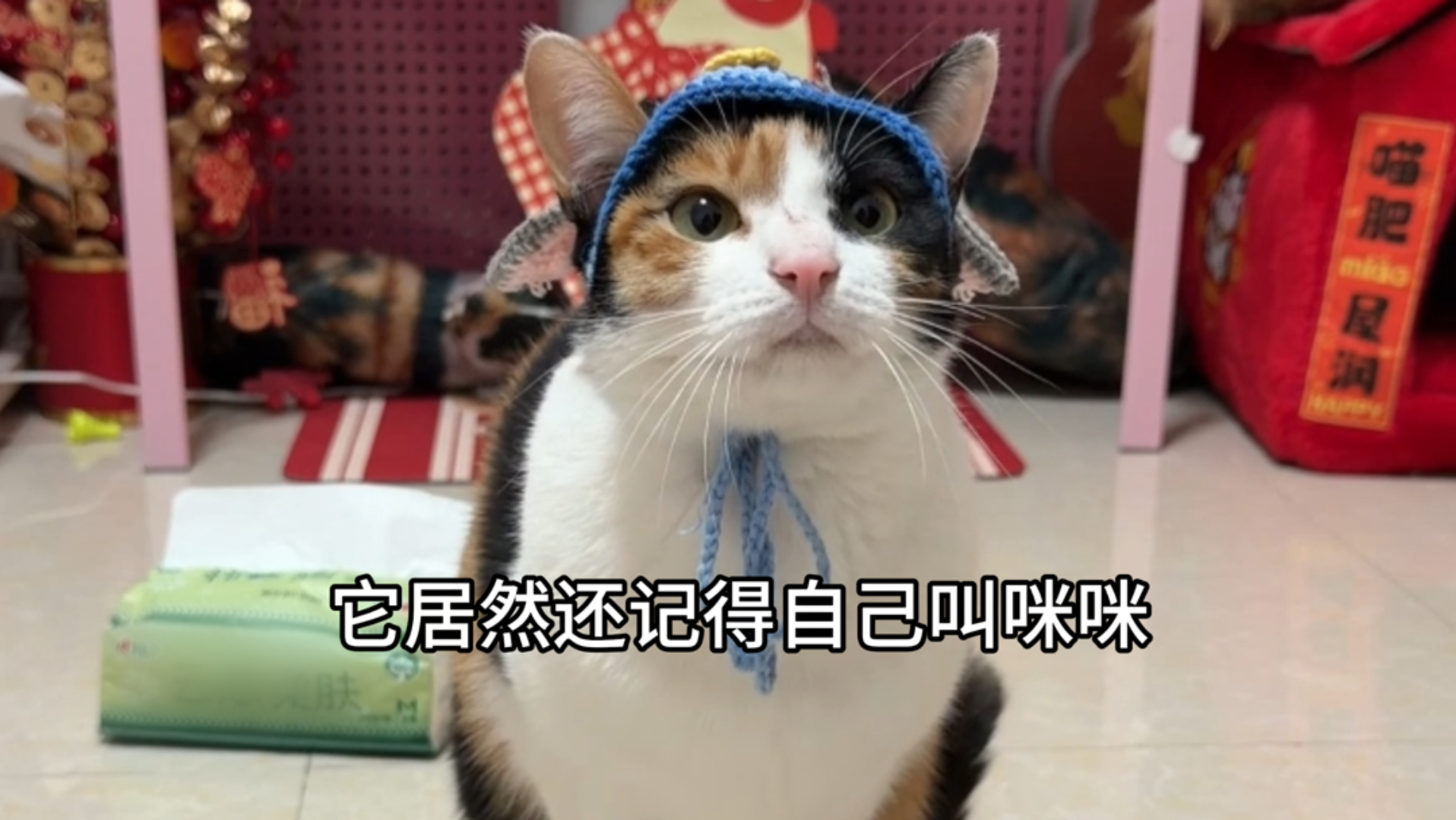 大开门的逆袭之路