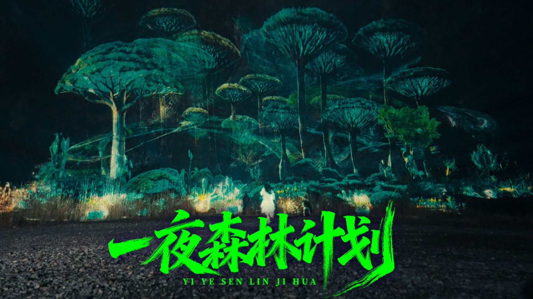 我“种”了一片只能活一个晚上的森林...