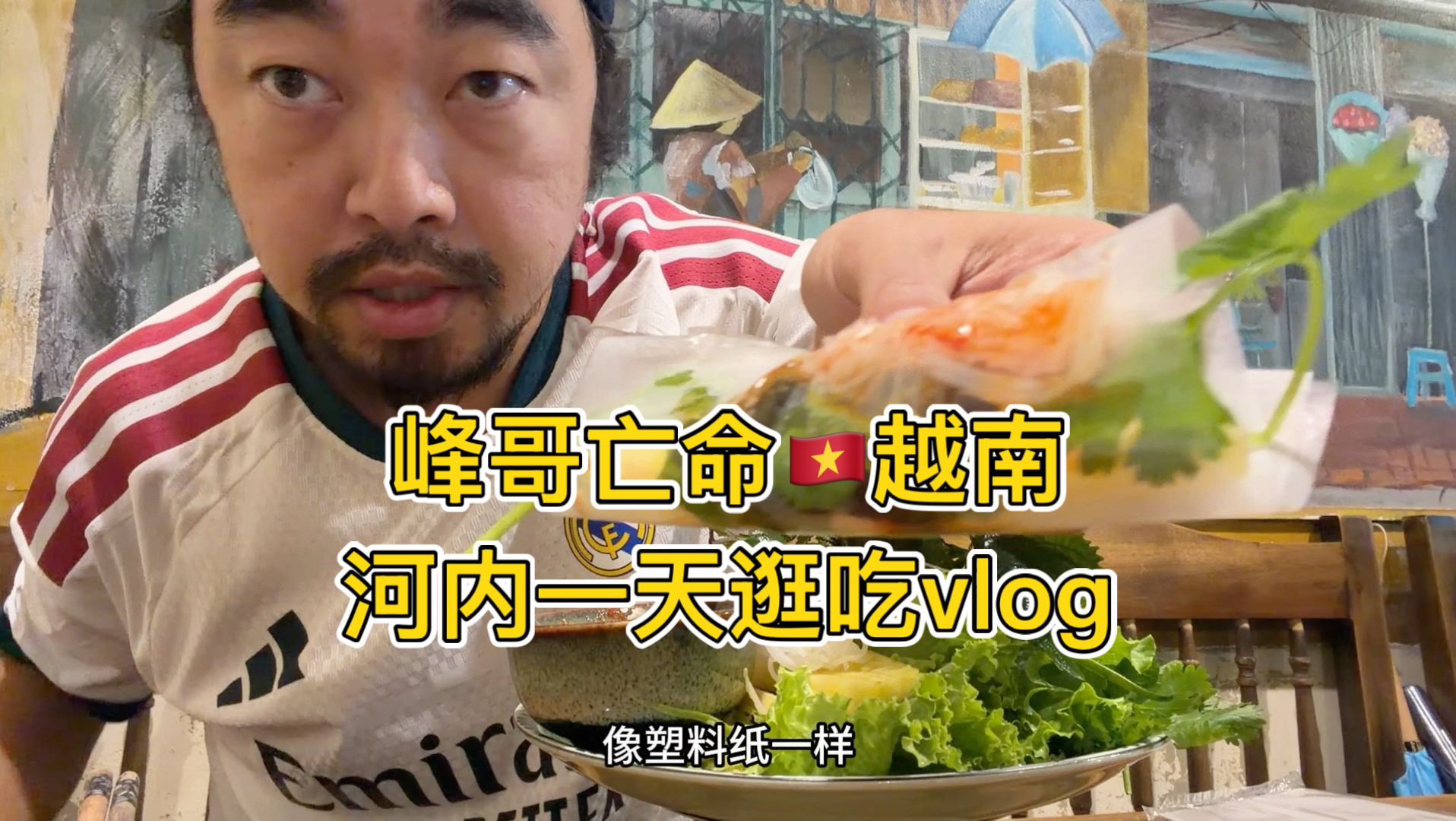 峰哥亡命越南,河内一天逛吃vlog
