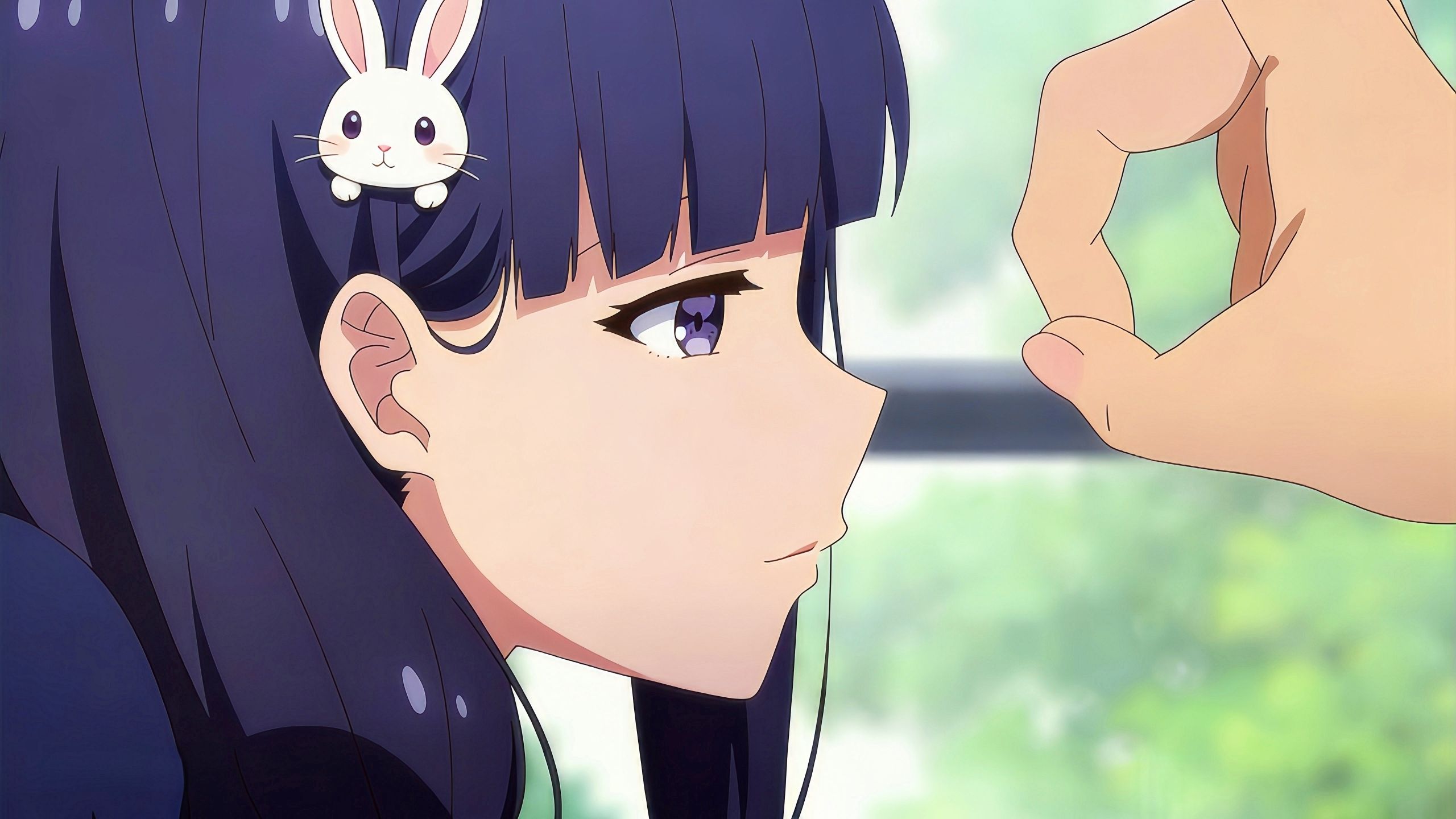 🐰有种你试试:兔子舞🐰